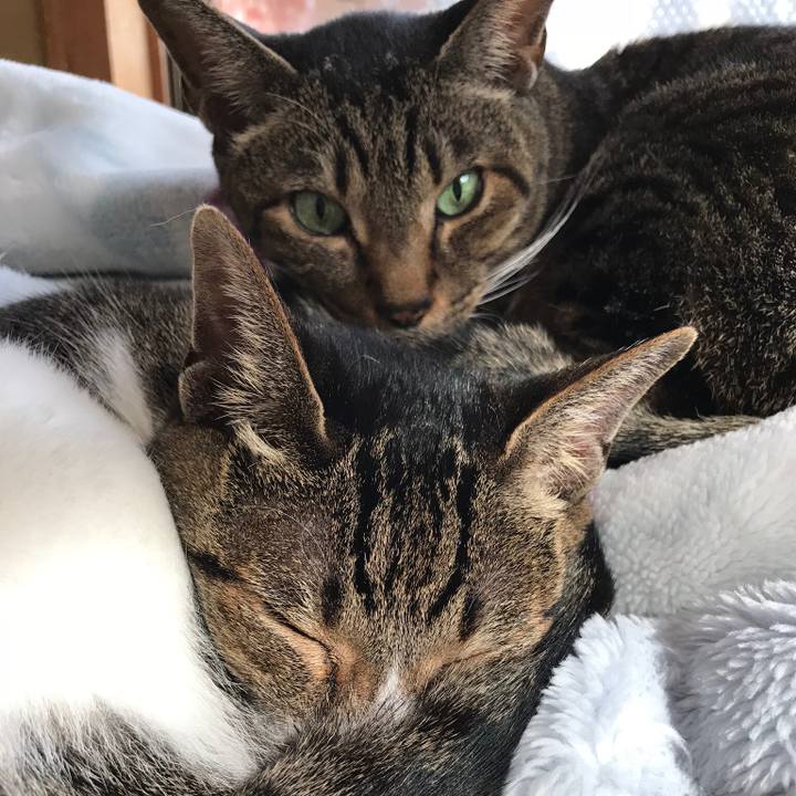 694966d6 48b2 40ff 8ef5 2e55f1226de9 1513043968411