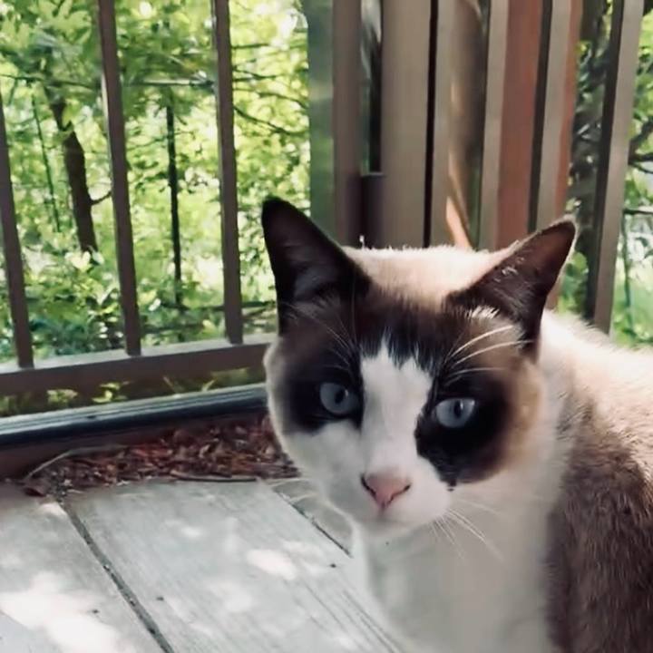 69496950 4ac8 47eb 93ac 2ee23bc830cc 1744336790967