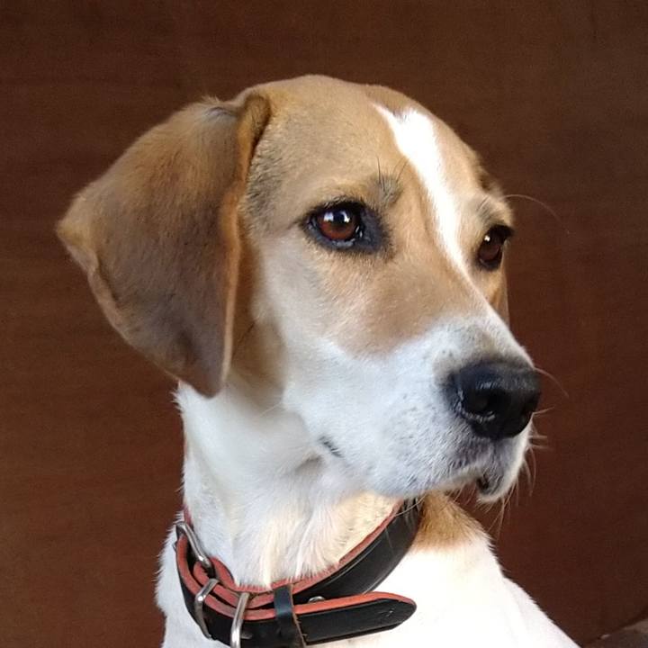 6949c94c 34da 4823 93ab 411d1b0d1fd5 1637902864821