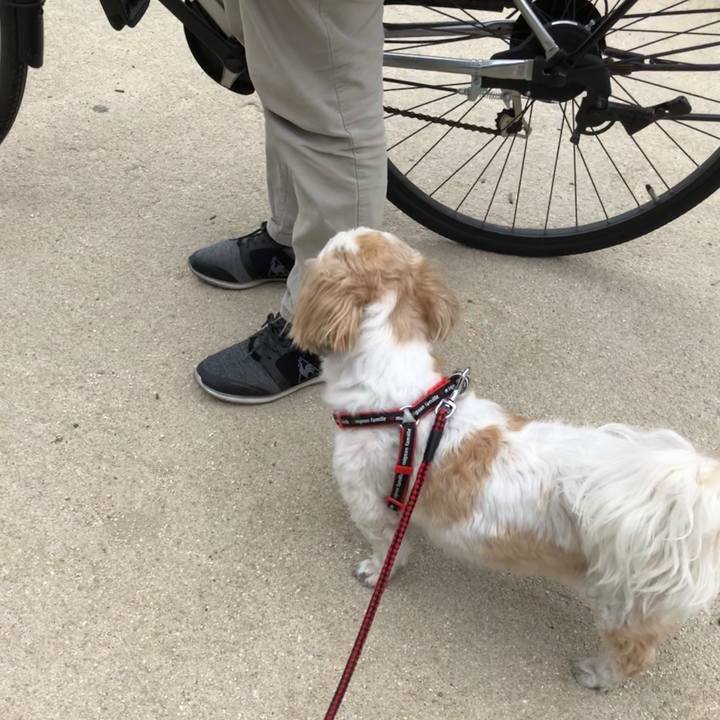 6949e9b7 0be1 4cb0 9c76 440cac088a3f 1565587471931