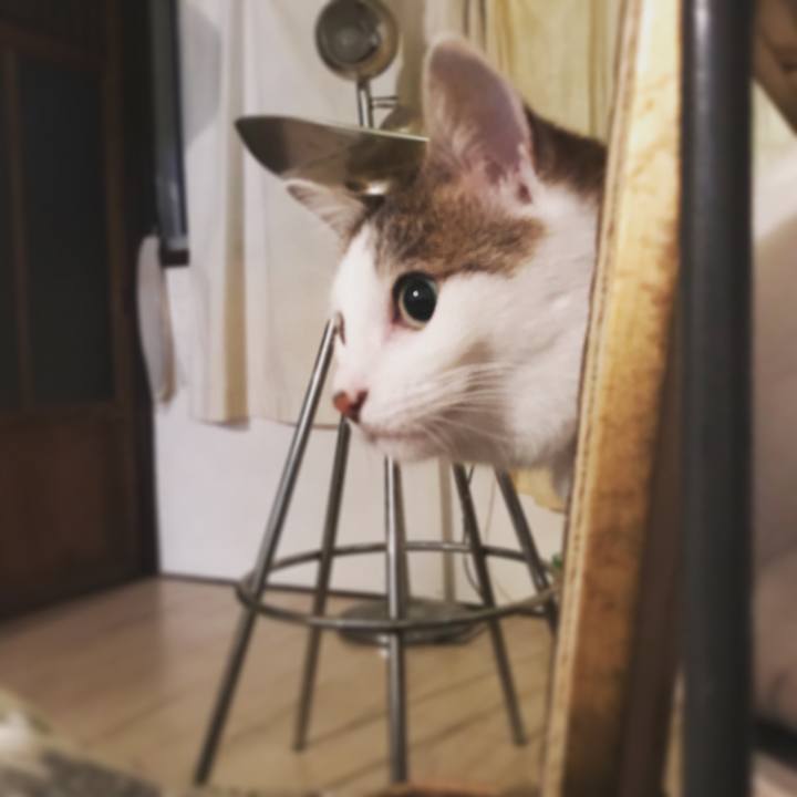 6949faa0 2202 4fae bb7e ae57b8be0abd 1554225552010