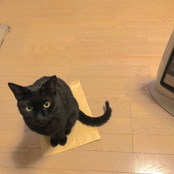 694a0eb1 5fc7 4adc afa0 8d96b77a7e24 1551185276997