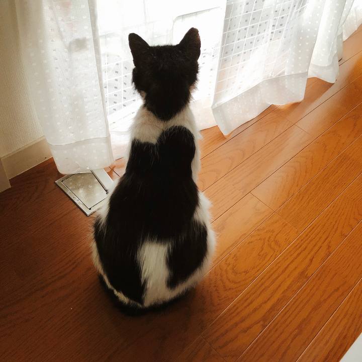 694a14cb 23c6 4311 84da 3a51e0892efe 1622021089748