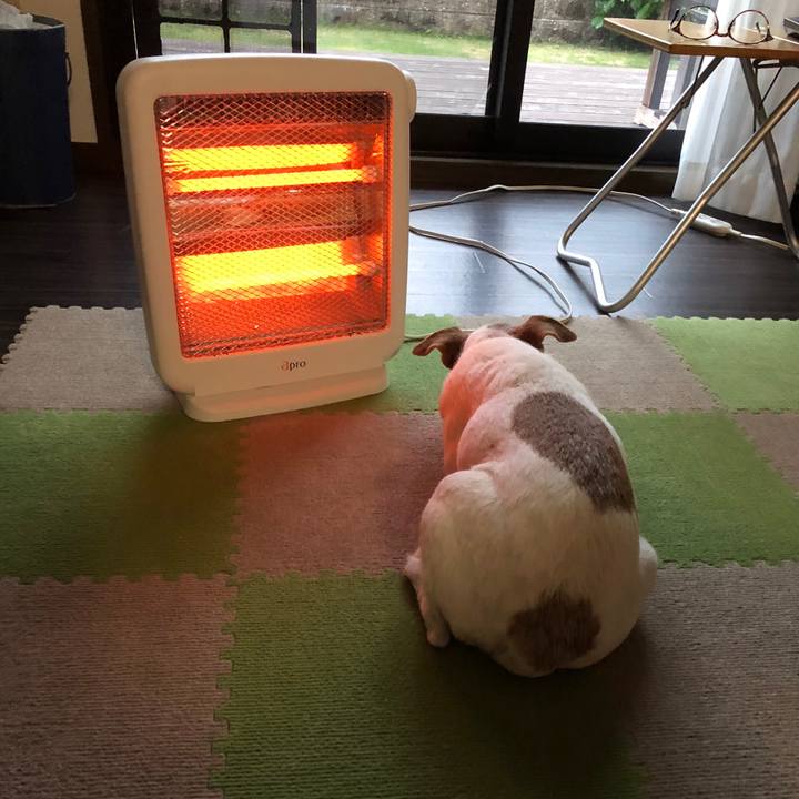 694a7633 e2e5 48ee a4c7 9f4a3fd907d3 1525868623830