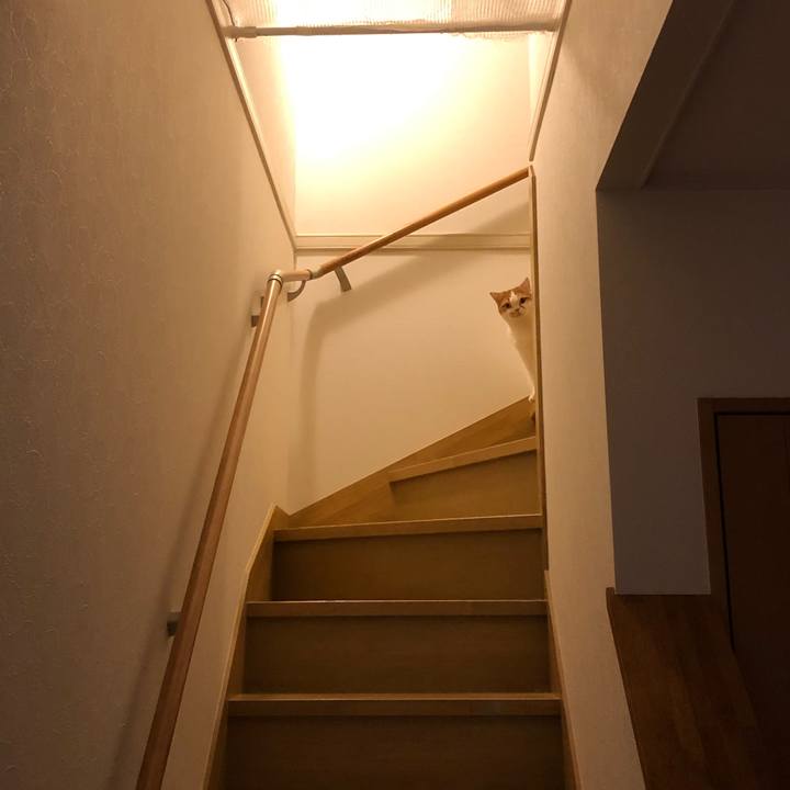694a8500 1df4 4047 8761 895d17456ee0 1639054311370