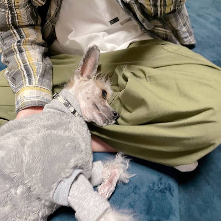 694ad54a ecc3 4ffa 9a1d 44c6610d484a 1768650447189