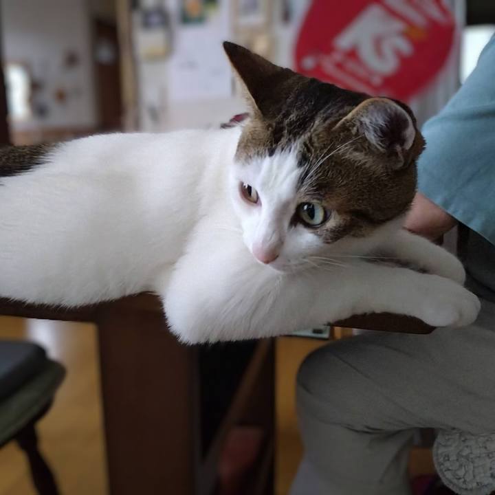 694af185 925a 4095 8601 997222c6a480 1753491111619