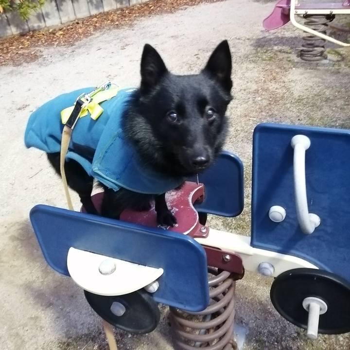 694b1bbf 3fbe 4f52 8b11 638f92ba53eb 1642456526983