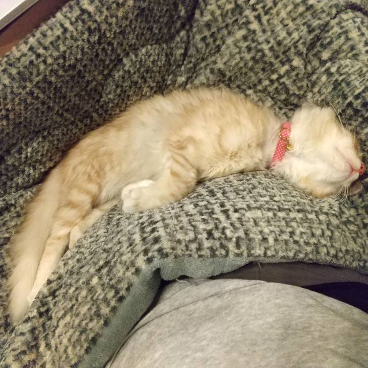 694b1dbb 5e97 45c5 a476 f358d5598b14 1609073006808