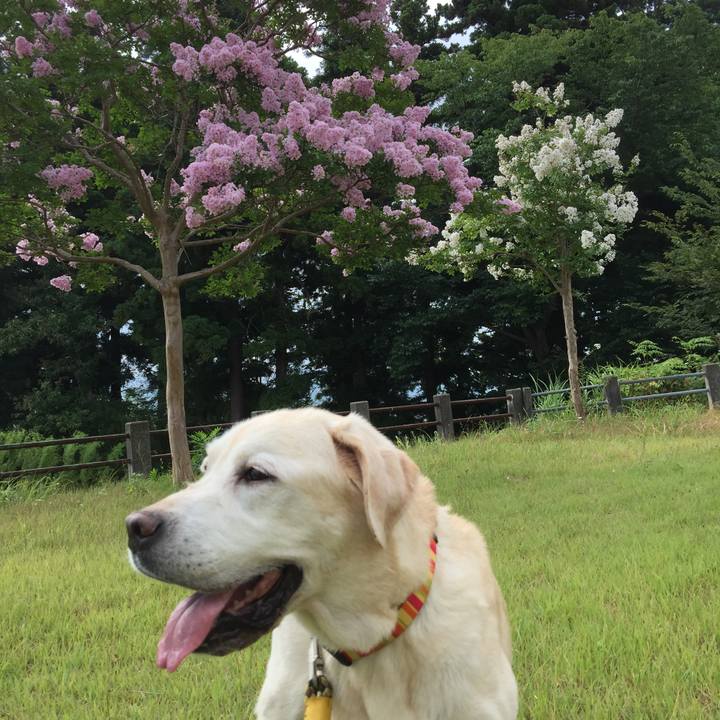 694b23f2 fb7c 42ec a4d7 c477af1ba98f 1564007840532