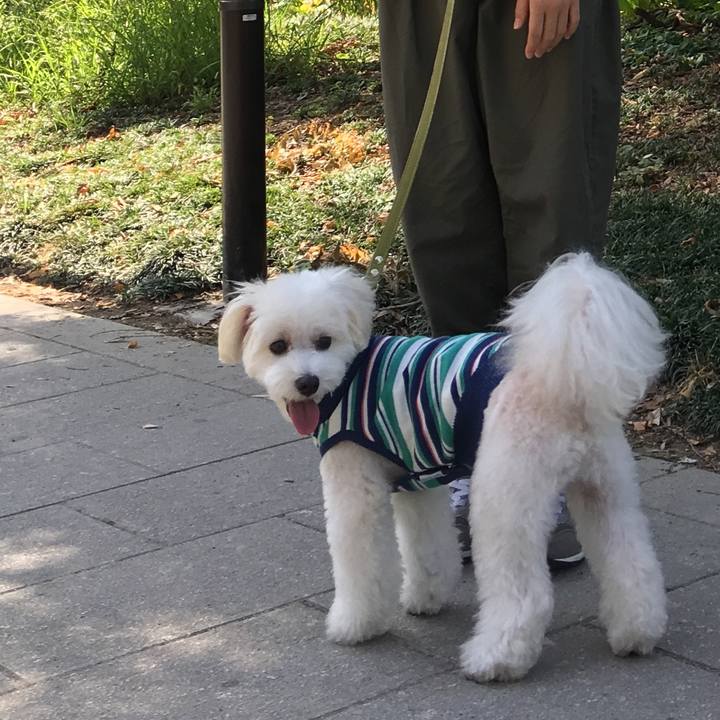 694b96a1 136a 4eea 937c 15b7149a9bf2 1569909628603