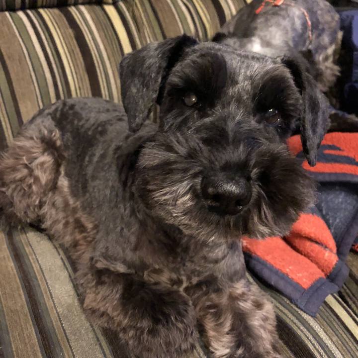 694bc13e c6c0 42df ac1b 42b130070a85 1542373502891