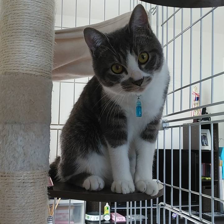 694bfc42 2308 48c9 9942 6a8a0e85de5a 1578973463327