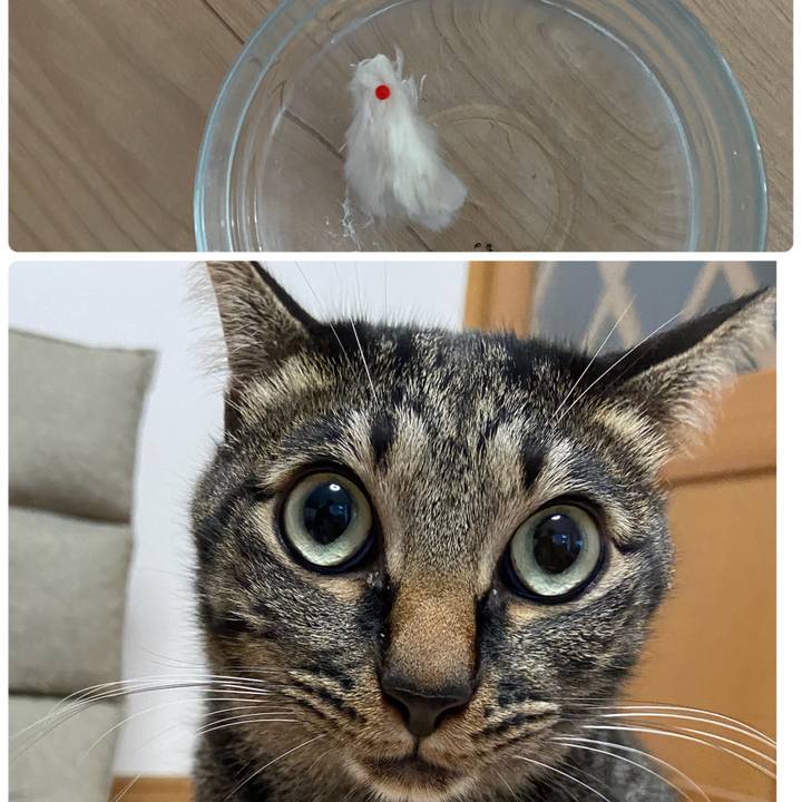 694c2c0d bcd0 4c0d bce1 a8491f497d46 1676978342875