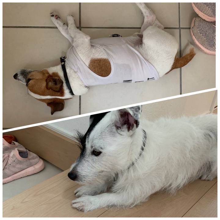 694c35a1 f6ad 444d a639 a693497daaf8 1564877574725