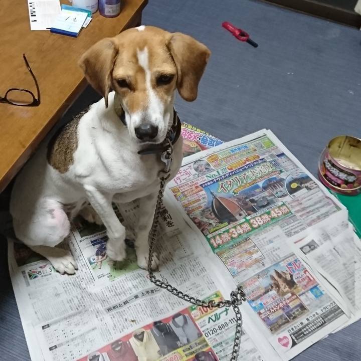 694c40c6 00db 48a2 b1d2 8f7cf4a0402e 1570276543681