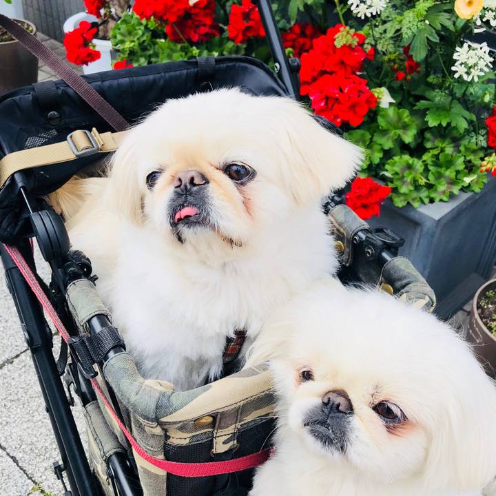 694c9779 d764 4cde 9ba7 a96bbd92e123 1585534764175