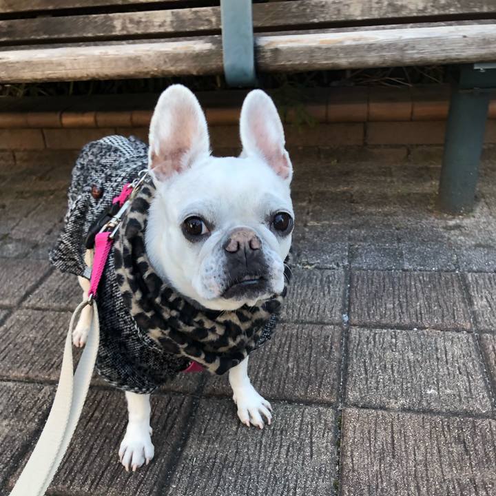 694ca8c6 d8ee 4c1a b1ba e0101f5baa57 1674977083457