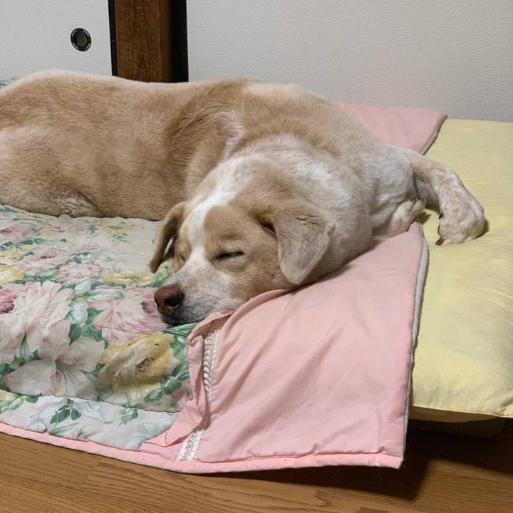 694caab4 6bd0 461c afee 07ecad925294 1568554058647