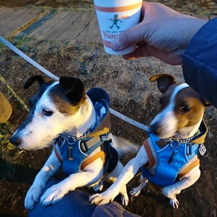 694cbb30 ec17 4fdf 9bb3 d98d56811c89 1549960584434