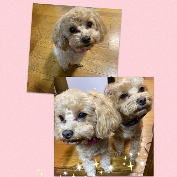 694d3811 be9f 40e1 8043 f07eb5c50cef 1607870779961