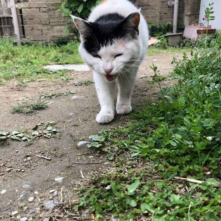 694d4f8a 496a 43f1 b569 7df9378275c5 1617316882731