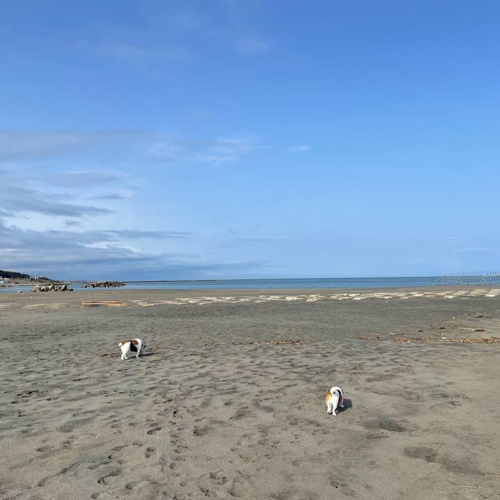 694d61c4 1bb6 4c80 ad9b d1fcf95500b9 1713310360590