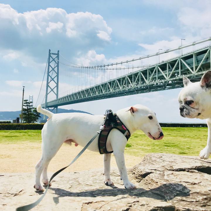 694d78b7 5c81 4b7b 86f8 cb4febc16950 1523176949832