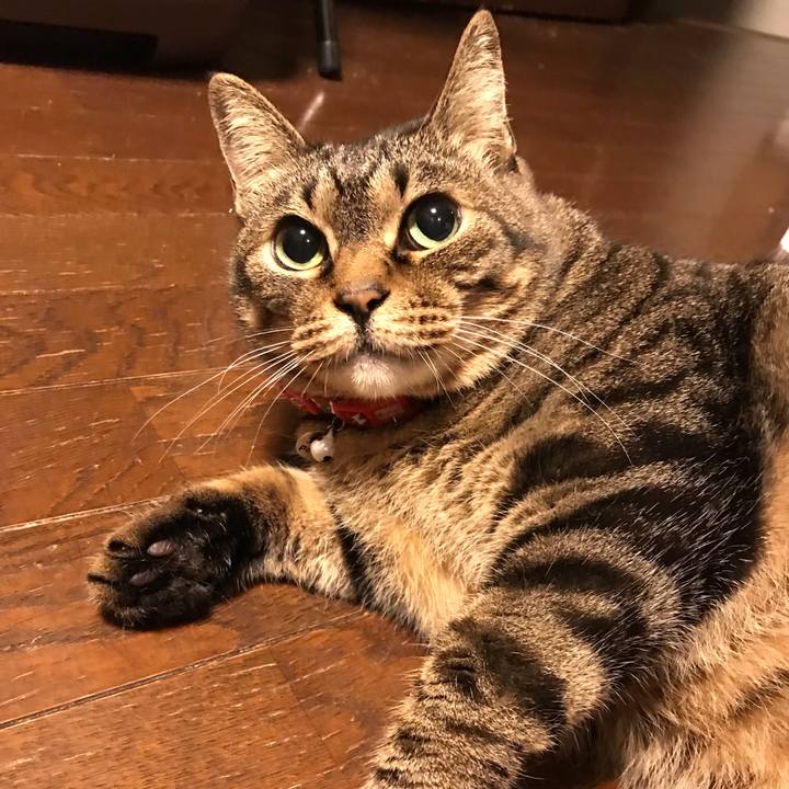 694dad38 c898 43ed bdd8 bac3dc778bb0 1651582309584