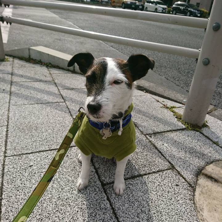 694db971 95d4 4929 82cf cae12b0ac226 1518311446257