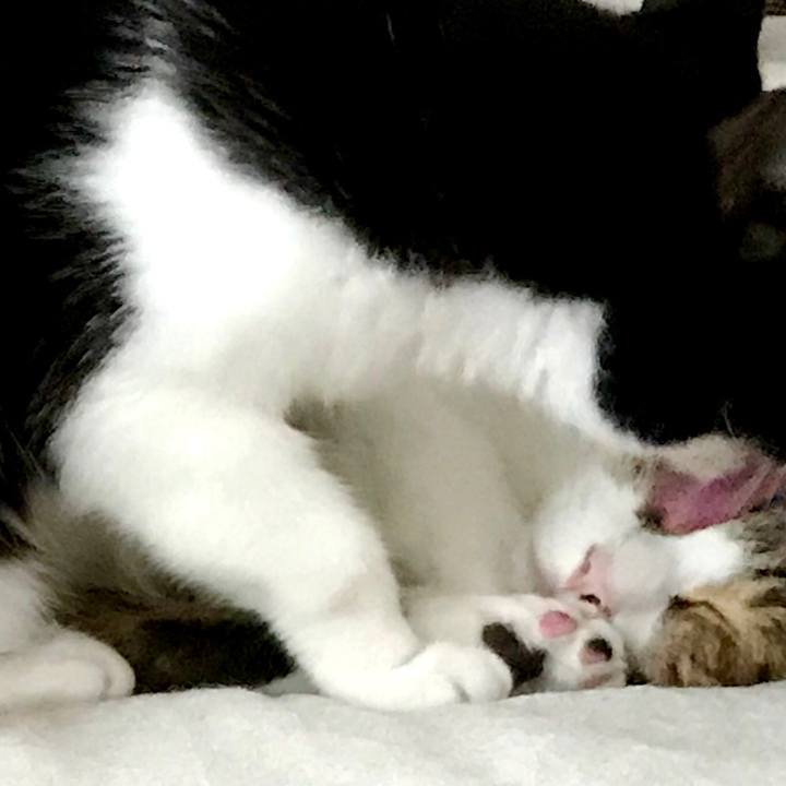 694dd7a9 892d 46b4 af33 4cd45ddf1919 1528954490040