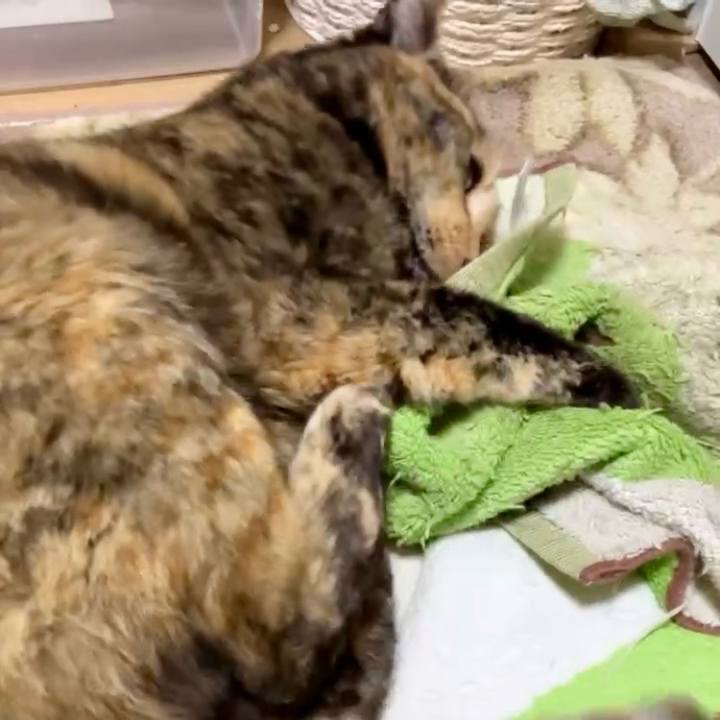 694defee ebf5 4620 a806 672ec635f4af 1738268314905