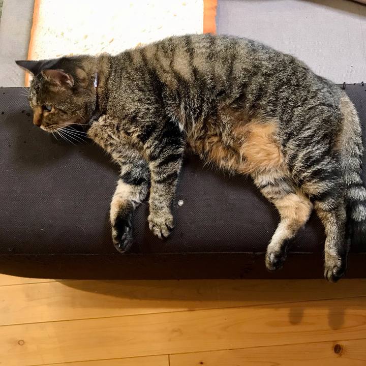 694e034f 3e2c 464f 9df3 16c2ce37c374 1632131847241