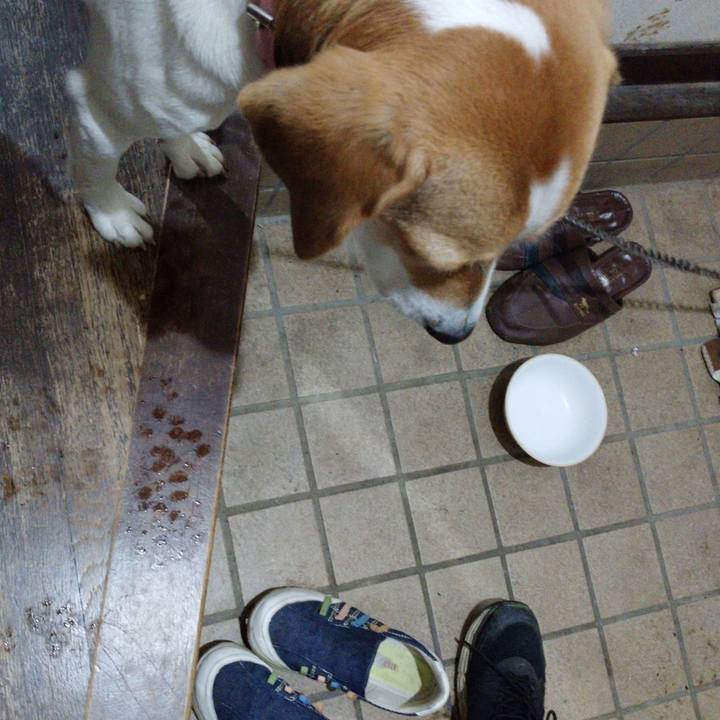 694e16dd de08 4134 b622 00ada171b050 1577366460672