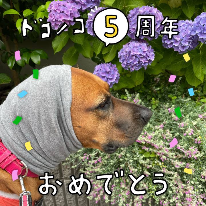 694e5b7e 1692 4fe5 9bde d300f7dcb34c 1623040140754