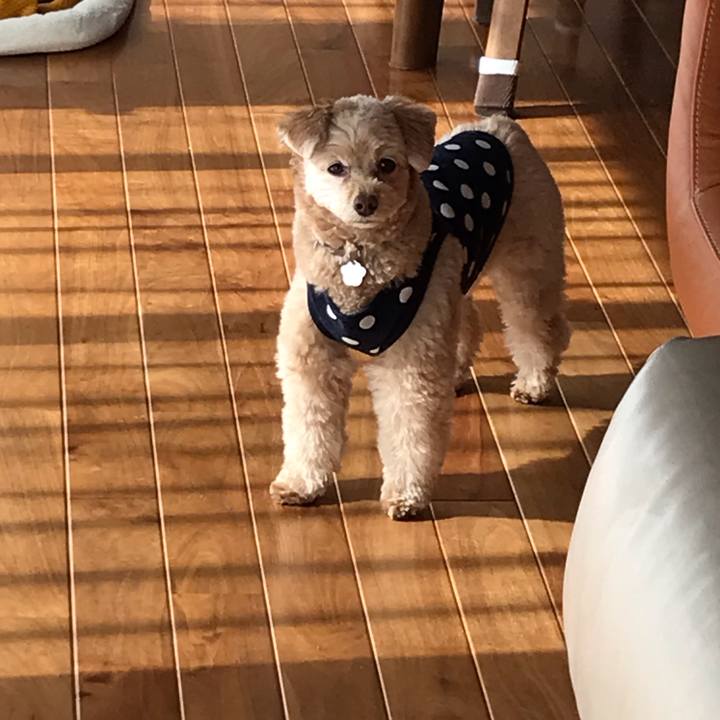 694e63af 121a 4aec 88be e9191cd10bfe 1549010466937