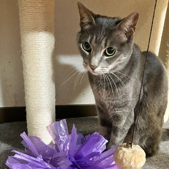 694e68a5 ba97 416e 93c1 d6f9bab4e626 1746795664194