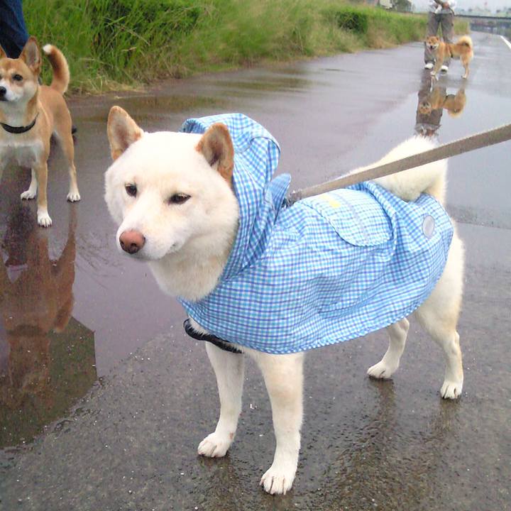 694e704f 51cf 45bc 9d09 2e6b4e276312 1656169715174