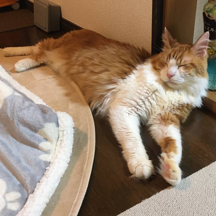 694e8157 a155 44eb ac19 fc45ee54b2e0 1572600276322