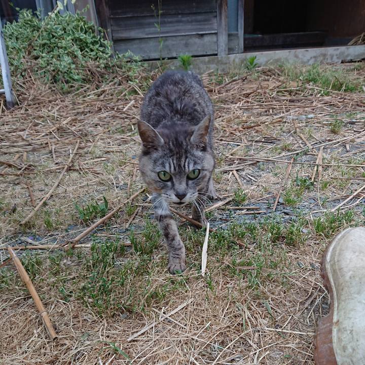 694e9b43 d1da 4ba0 99f1 1e6c96609a55 1591997606732