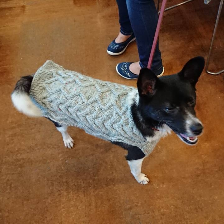 694eacb4 a0dd 49bc a7ee c2d5e0143fa2 1526994543077