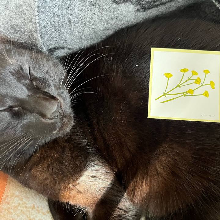 694ee844 bd4c 4ab4 8b7d c6ea71315474 1709367395864