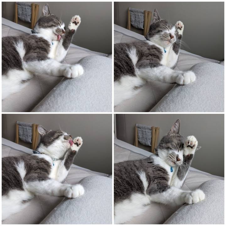 694eeec2 e6f6 4442 8035 28ff6fa74c13 1751587818958