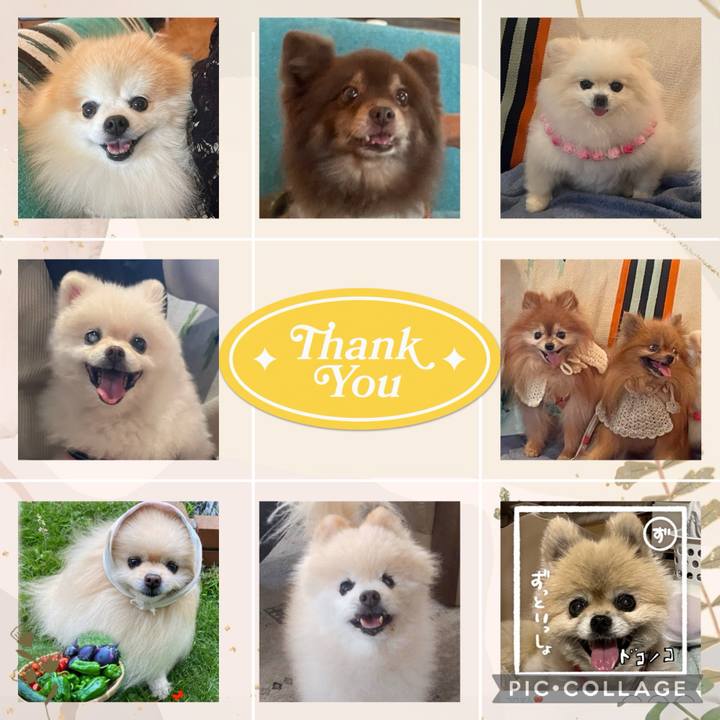 694ef93f f631 4b79 9122 34b13f6d3155 1730460472599