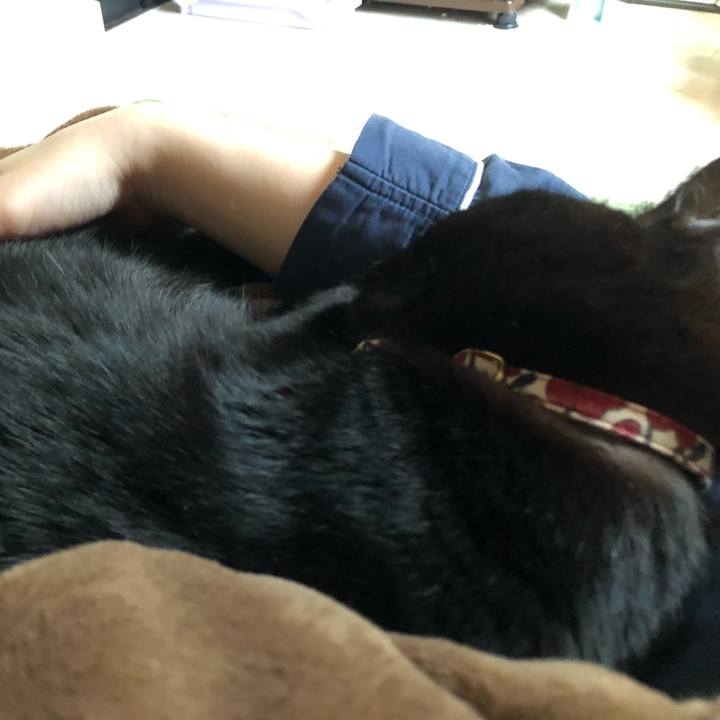 694efbf2 ad3d 4ccc a05f 9699cfbdfd35 1587164061225