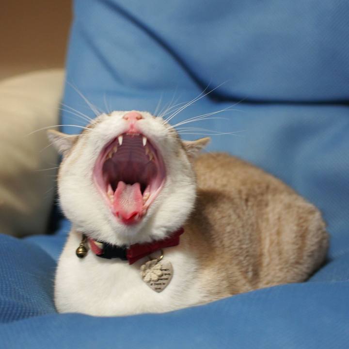 694f2a6b b9aa 4723 b5a2 9334df74af31 1525012119250