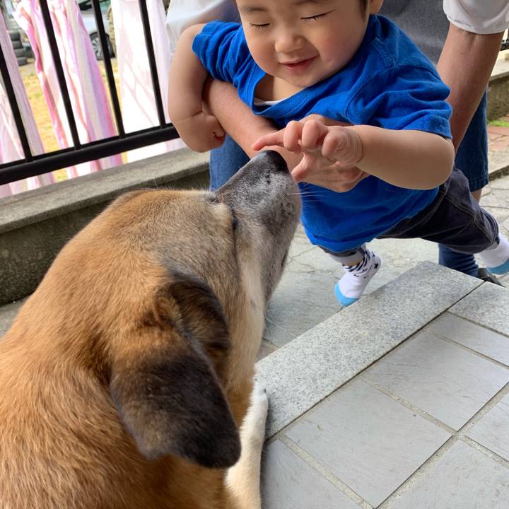 694f3911 8108 4c50 9868 a3bd00101c91 1557028590073