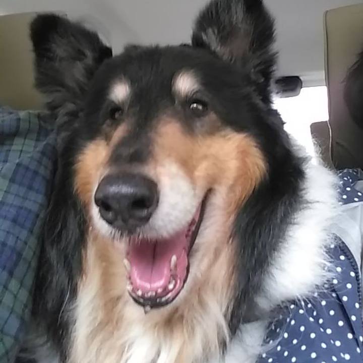 694f396c b143 4ee7 bcd4 fedb17831d3f 1522595174058