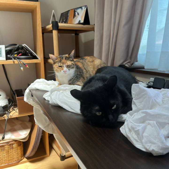 694f4ee6 b4fe 4e7b b19b 1c2aaa8e1096 1718762400647