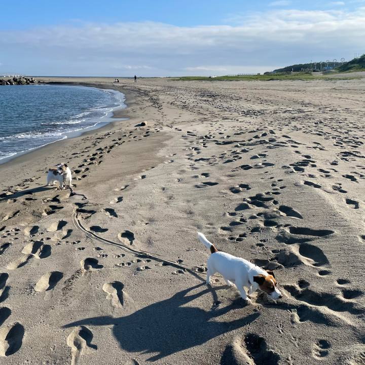 694f7334 d5b0 4f28 9933 59d9fc56f50f 1662765383188